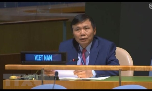 Việt Nam ủng hộ cải tổ HĐBA theo hướng mở rộng số thành viên