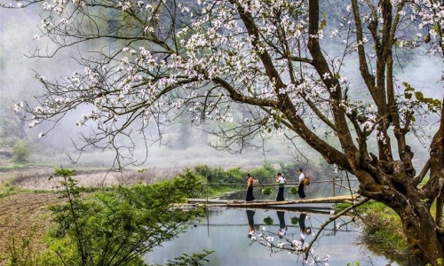 “Việt Nam - Truyền thống - Hiện đại - Phát triển”