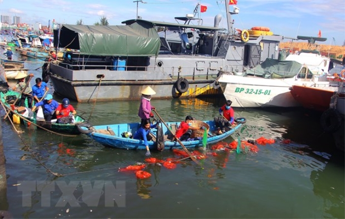 Thu gom rác thải nhưa trên mặt biển vùng khu vực cảng Quy Nhơn, tỉnh Bình Định. (Ảnh: Nguyên Linh/TTXVN)