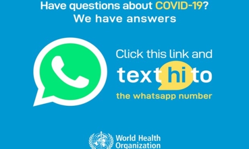 WHO ra mắt chatbot chống tin giả trên ứng dụng tin nhắn WhatsApp