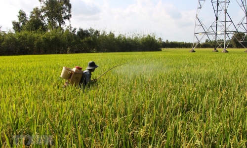 Hầu hết các khu vực có nắng nóng diện rộng, nhiệt độ lên đến 38 độ C