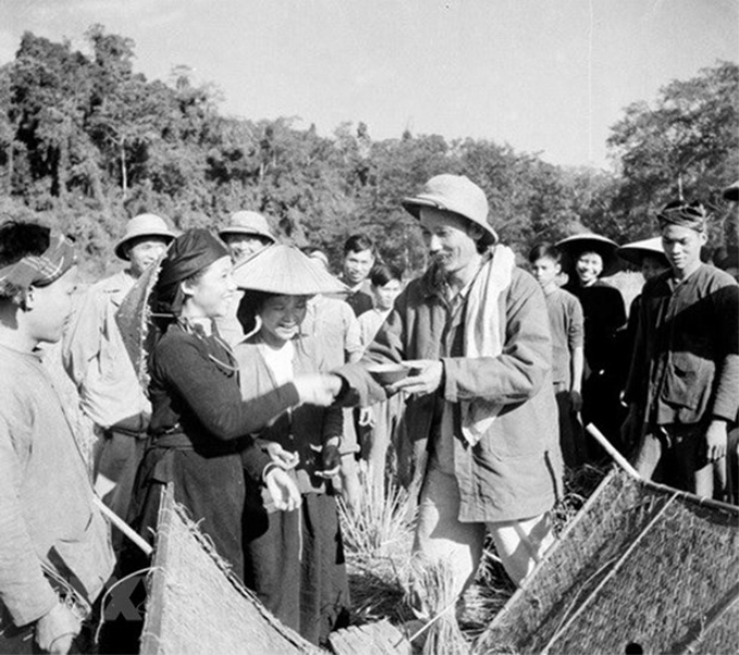 Chủ tịch Hồ Chí Minh đến thăm nông dân tỉnh Bắc Kạn đang thu hoạch lúa mùa năm 1950. (Ảnh: Tư liệu/TTXVN)