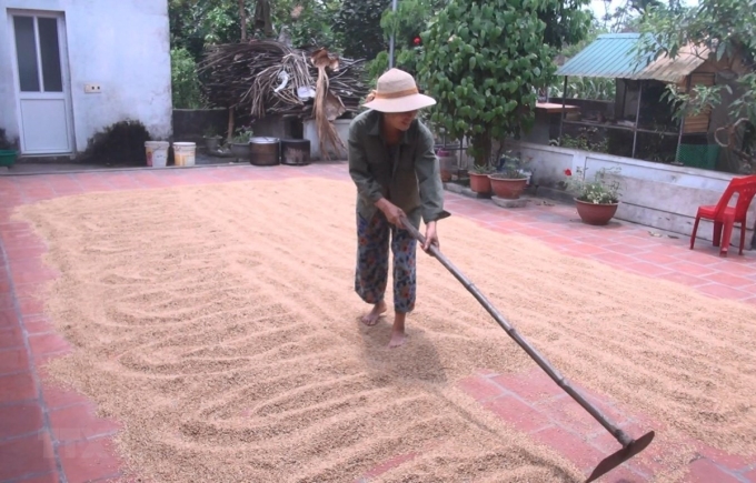 Việc các hộ nghèo, cận nghèo tự nguyện không nhận tiền hỗ trợ từ gói an sinh xã hội 62.000 tỷ đồng của Chính phủ là hành động đẹp, ý nghĩa, nhân văn. (Ảnh: Khiếu Tư/TTXVN)