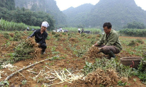 Triển khai sâu rộng phong trào thi đua cả nước chung tay vì người nghèo