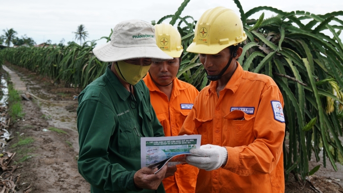 Hướng dẫn người dân trồng thanh long tại huyện Chợ Gạo, tỉnh Tiền Giang sử dụng điện an toàn