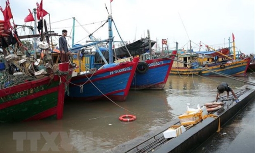 Các tỉnh ven biển từ Quảng Ninh đến Cà Mau chủ động ứng phó áp thấp