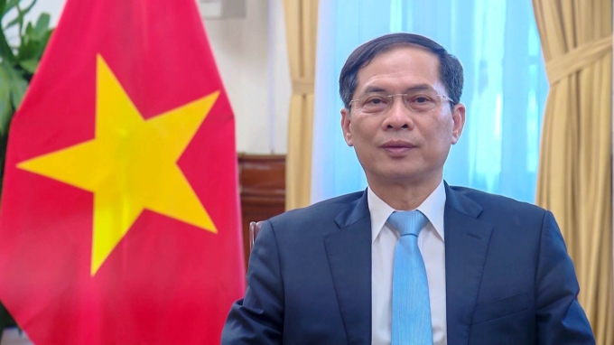 Bộ trưởng Bùi Thanh Sơn tham dự Hội nghị theo hình thức trực tuyến - Ảnh: BNG