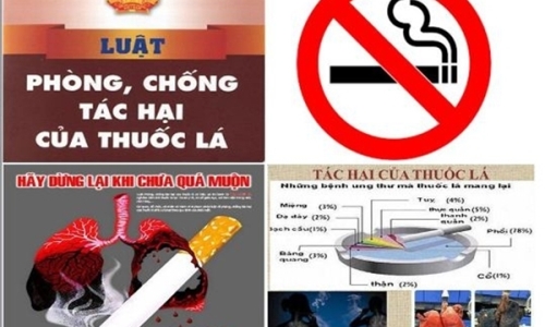 Thái Bình tiếp tục triển khai Kế hoạch thanh kiểm tra, giám sát việc thực hiện công tác phòng, chống tác hại thuốc lá