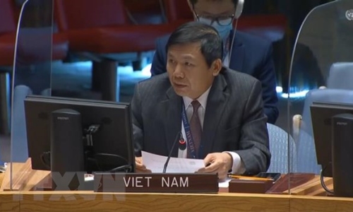 Việt Nam ủng hộ Liên hợp quốc cải tổ Hội đồng Bảo an