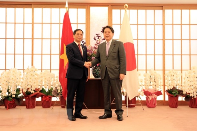 Bộ trưởng Bùi Thanh Sơn (trái) gặp người đồng cấp Yoshimasa Hayashi của Nhật Bản. (Ảnh: Đức Thịnh/TTXVN)
