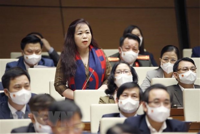 Đại biểu Quốc hội thành phố Hà Nội Vũ Thị Lưu Mai phát biểu. (Ảnh: Doãn Tấn/TTXVN)
