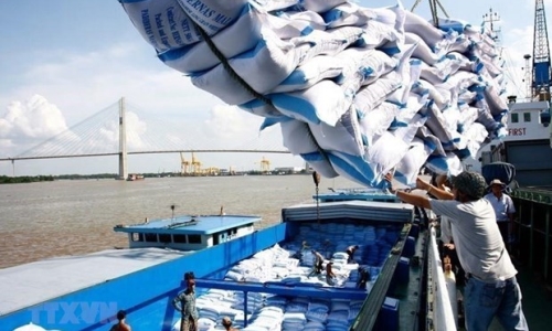 Xuất khẩu gạo của Việt Nam kỳ vọng sớm khởi sắc trong năm 2021