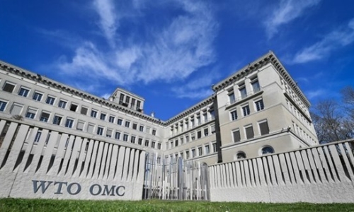 Hội nghị Bộ trưởng WTO lần thứ 12 sẽ được tổ chức cuối tháng 11/2021