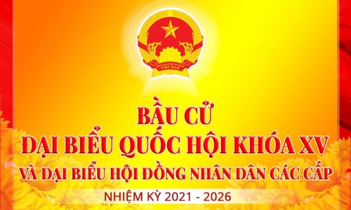 Các nguyên tắc cơ bản của bầu cử ở Việt Nam hiện nay