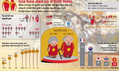 Thách thức của vấn đề già hóa dân số ở Việt Nam