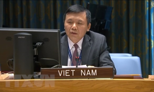 Việt Nam kêu gọi Mali tăng cường các nỗ lực hòa hợp dân tộc