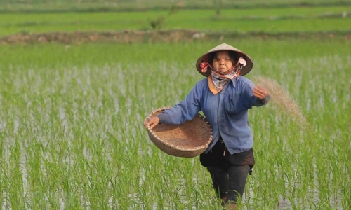 Phát triển kinh tế khi nông thôn đẹp về diện mạo, mới về chất