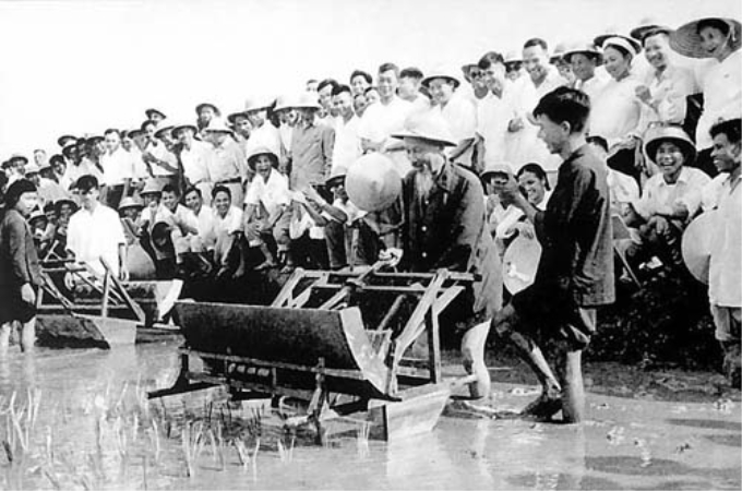 Bác Hồ dùng thử máy cấy lúa cải tiến tại Trại Thí nghiệm trồng lúa Sở Nông lâm Hà Nội, tháng 7-1960 Ảnh: T.L - Nguồn: bqllqng.gov.vn