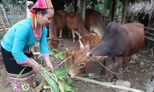 Phát triển kinh tế gắn với công bằng xã hội: Thước đo hạnh phúc