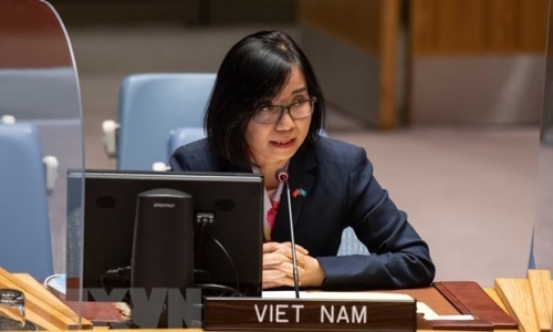 Việt Nam kêu gọi xử lý thách thức an ninh, nhân đạo ở Tây Phi và Sahel