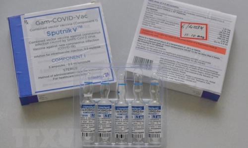 Đại sứ quán Việt Nam tại Nga tích cực triển khai “ngoại giao vaccine”