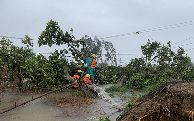 Công nhân ngành điện Quảng Ngãi khắc phục sự cố lưới điện sau bão số 5.