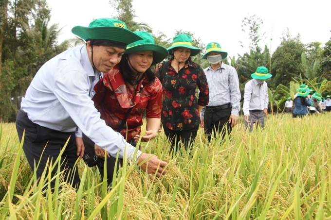 Lãnh đạo thành phố Cần Thơ thăm mô hình sản xuất lúa sạch tại huyện Vĩnh Thạnh (ảnh chụp trước tháng 4/2021). (Ảnh: qdnd.vn)