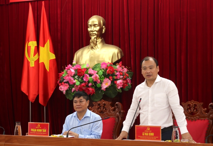 Đồng chí Lê Hải Bình, Phó Trưởng ban Tuyên giáo Trung ương phát biểu tại buổi làm việc.