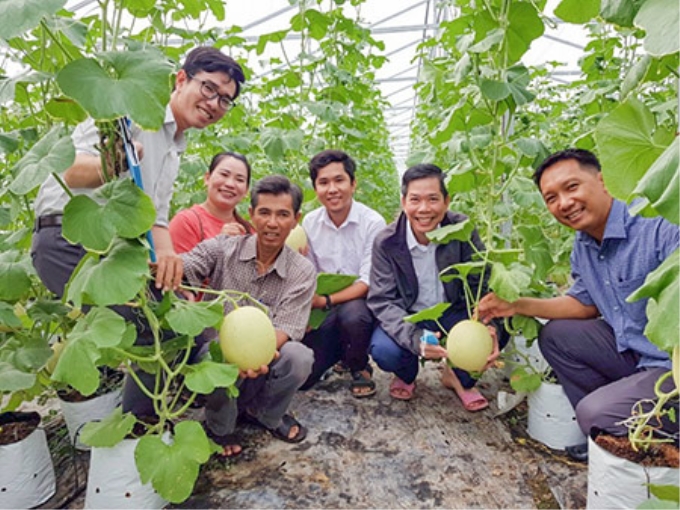Mô hình trồng dưa lưới đạt chuẩn GlobalGAP của Hợp tác xã dưa lưới Thuận Phát là một trong những kết quả nổi bật của ngành khoa học và công nghệ tỉnh.