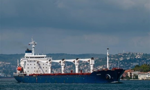 LHQ hoan nghênh việc gia hạn thỏa thuận xuất khẩu ngũ cốc Biển Đen