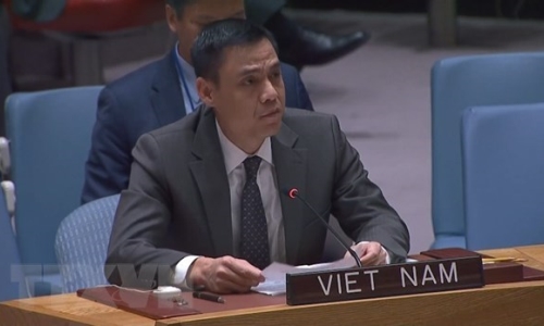 Việt Nam sẵn sàng hợp tác trong hoạt động gìn giữ hòa bình
