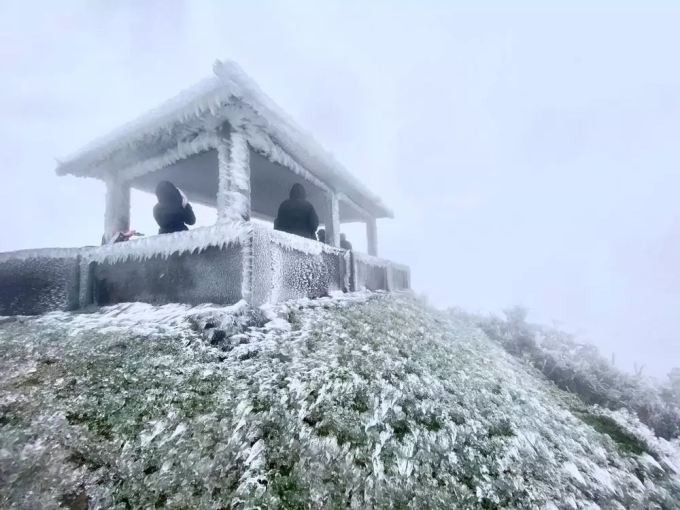 Đỉnh núi Mẫu Sơn, Lạng Sơn xuất hiện băng giá dày đặc, ảnh hưởng tới cây trồng, vật nuôi. (Ảnh: T.G)