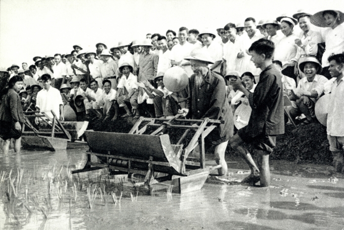 Chủ tịch Hồ Chí Minh thăm và dùng thử máy cấy tại trại thí nghiệm lúa thuộc Sở Nông lâm Hà Nội (năm 1960) _Nguồn: hochiminh.vn