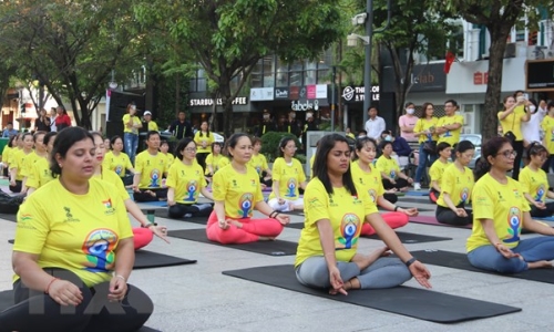 TP.HCM: Gần 1.000 người đồng diễn tại Ngày Quốc tế Yoga lần thứ 8