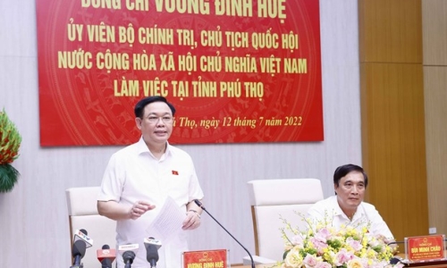 Phú Thọ cần gắn kết chặt chẽ giữa công nghiệp hóa với đô thị hóa