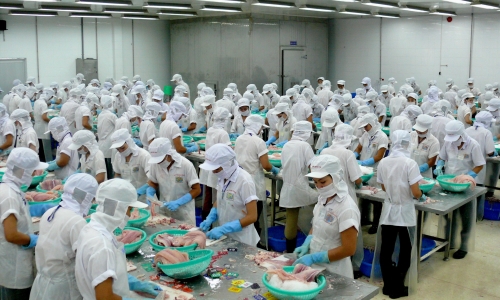 Dạy nghề cho lao động nông thôn đáp ứng nhu cầu nuôi trồng, chế biến thủy sản ở An Giang