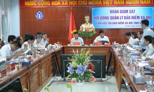Đoàn Giám sát Hội đồng Quản lý BHXH làm việc tại tỉnh Cà Mau