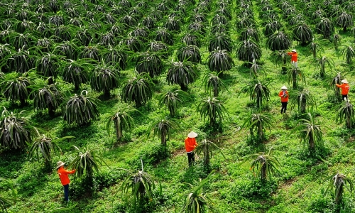 Đổi mới hoạt động giao đất, cho thuê đất, bảo đảm quyền của các chủ thể phù hợp với cơ chế thị trường