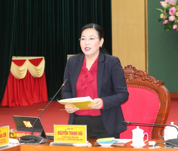 Đồng chí Nguyễn Thanh Hải phát biểu tại buổi làm việc.