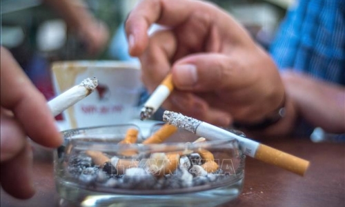 Mỗi năm, khoảng 40.000 người tử vong vì các bệnh liên quan đến thuốc lá