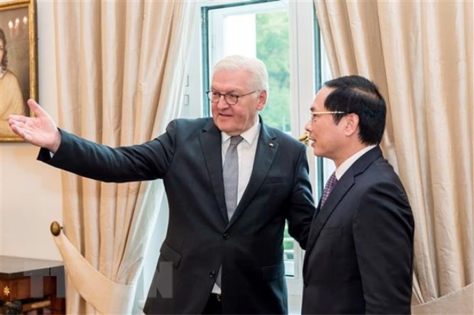 Bộ trưởng Ngoại giao Bùi Thanh Sơn và Tổng thống Liên bang Đức Frank-Walter Steinmeier. (Ảnh: TTXVN)