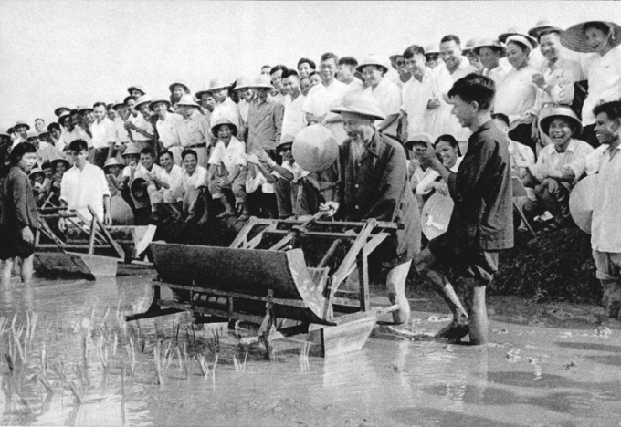 Chủ tịch Hồ Chí Minh dùng thử máy cấy lúa cải tiến tại Trại thí nghiệm trồng lúa Sở Nông lâm Hà Nội (năm 1960). (Ảnh: Tư liệu)