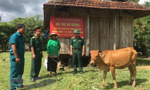 Giáo dục nghề nghiệp - giải pháp căn cơ để giảm nghèo bền vững