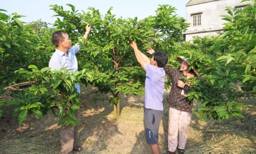 Tuyên Quang: Phát huy vai trò của người có uy tín trong cộng đồng để xóa đói giảm nghèo