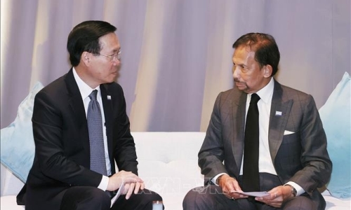 Chủ tịch nước: Việt Nam - Brunei còn nhiều dư địa hợp tác
