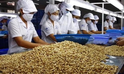 Thúc đẩy xuất khẩu hàng hóa của Việt Nam