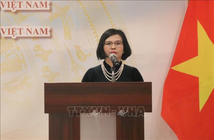 Đại sứ Việt Nam tại Hungary Nguyễn Thị Bích Thảo (ảnh tư liệu).
