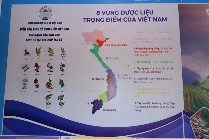 Hình tổng quan mô hình dược liệu của Việt nam, các vùng điển hình