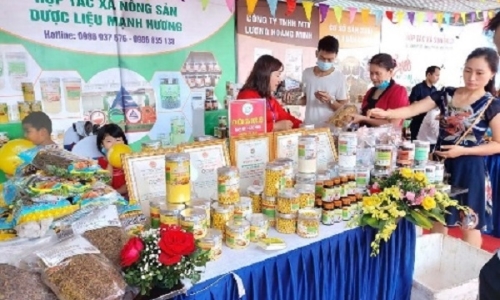 Quảng bá sản phẩm dược liệu trên sàn thương mại điện tử - Hướng đi mới của Lào Cai