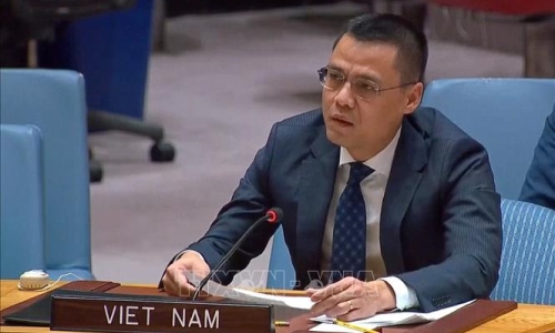 Việt Nam kêu gọi chấm dứt xung đột, tìm giải pháp hòa bình cho vấn đề Ukraine